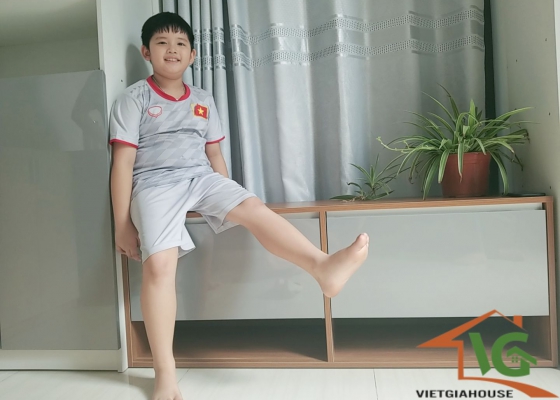 TỦ GIÀY THÔNG MINH (LOẠI NHỎ)