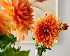 Ghé thăm ngôi nhà rực rỡ sắc màu của mùa Xuân